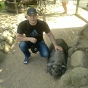 ���������� �����, ���� ������� ������, 37 ���, ������������ ��� ������, ����� � ���������, c�������� ���������