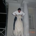 ���������� ������, ���� ������� �����, 43 ����, ������������ ��� ������