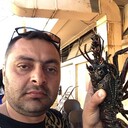 ���������� �������, ���� ������� Marat, 43 ����, ������������ ��� ������, ����� � ���������