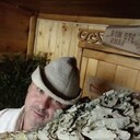  ,   , 55 ,   ,   