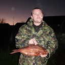 ���������� ������, ���� ������� ������, 41 ���, ������������ ��� ������, ����� � ���������, c�������� ���������