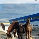 ���������� ������, ���� ������� �����������, 43 ����, ������������ ��� ������, ����� � ���������, c�������� ���������