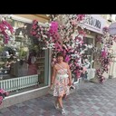  ,   , 57 ,   ,   