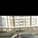 ���������� ������, ���� ������� ��������, 39 ���, ������������ ��� ����� � ���������, c�������� ���������