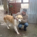  ,   , 59 ,   ,   , c , 