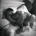 ���������� �����������, ���� ������� ������, 36 ���, ������������ ��� ������, ����� � ���������, c�������� ���������