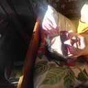 ���������� ���������� �����, ���� ������� ������, 29 ���, ������������ ��� ������, ����� � ���������, c�������� ���������, ���������