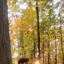 ���������� �����-���������, ���� ������� ������, 28 ���, ������������ ��� ����� � ���������, c�������� ���������, ���������