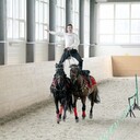 ���������� ������, ���� ������� ����, 31 ���, ������������ ��� ������, ����� � ���������, c�������� ���������, ���������