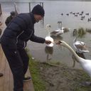  ,   , 32 ,   