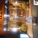 ���������� ����, ���� ������� �����, 50 ���, ������������ ��� ������, ����� � ���������, c�������� ���������