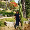 ���������� �������, ���� ������� �������, 50 ���, ������������ ��� ����� � ���������, c�������� ���������