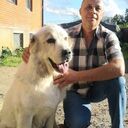 ���������� ��������, ���� ������� ���������, 57 ���, ������������ ��� c�������� ���������