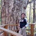 ���������� ��������, ���� ������� �������, 67 ���, ������������ ��� c�������� ���������, ���������