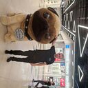 ���������� ������� ����, ���� ������� ������, 47 ���, ������������ ��� ������, ����� � ���������