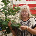 ���������� ����������, ���� ������� ��������, 52 ����, ������������ ��� ������, ����� � ���������, c�������� ���������