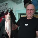  ,   , 44 ,   c 