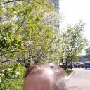 ���������� ������, ���� ������� ������� ����, 39 ���, ������������ ��� ����� � ���������, c�������� ���������