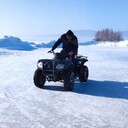 ���������� ���������, ���� ������� ������, 37 ���, ������������ ��� ������, ����� � ���������, ���������