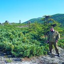 ���������� �������, ���� ������� �����, 39 ���, ������������ ��� ������, ����� � ���������, ���������