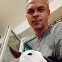 ���������� ����, ���� ������� �������, 47 ���, ������������ ��� ������, ����� � ���������, c�������� ���������