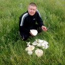 ���������� ������, ���� ������� ���������, 41 ���, ������������ ��� ������, ����� � ���������, c�������� ���������