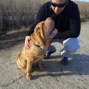 ���������� �������, ���� ������� Victor, 37 ���, ������������ ��� ������