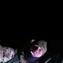 ���������� ������, ���� ����� ������, 25 ���, ������������ ��� ������, ����� � ���������