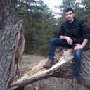 ���������� ���������, ���� ������� �������, 33 ����, ������������ ��� ������, ����� � ���������, c�������� ���������