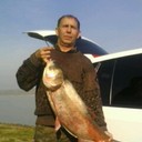  ,   , 62 ,   ,   , c 