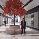  ,   , 35 ,   ,   , c 