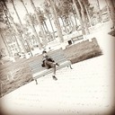 ���������� �����������, ���� ������� �����, 29 ���, ������������ ��� ������, ����� � ���������, c�������� ���������, ���������