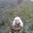  ,    , 50 ,  
