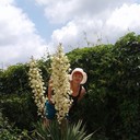  -,   Olga, 64 ,   ,   , c 