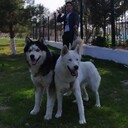 ���������� �������, ���� ������� ������, 36 ���, ������������ ��� ����� � ���������, c�������� ���������