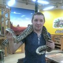 ���������� ���������, ���� ������� �����, 43 ����, ������������ ��� ������, ����� � ���������