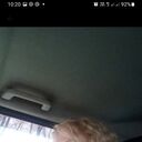  ,   , 51 ,   ,   