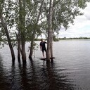 ���������� ������, ���� ������� ���� ���, 38 ���, ������������ ��� ����� � ���������, c�������� ���������