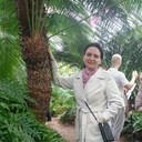 ���������� �����������, ���� ������� �������, 51 ���, ������������ ��� ����� � ���������, c�������� ���������