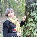 ���������� ������-��-����, ���� ������� ������, 55 ���, ������������ ��� ������, ����� � ���������, c�������� ���������