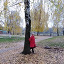  ,   , 64 ,  