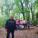 ���������� �������, ���� ������� ��������, 71 ���, ������������ 