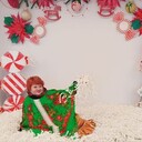 ���������� �������, ���� ������� �����, 56 ���, ������������ ��� ������, ����� � ���������, ���������