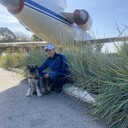 ���������� �������, ���� ������� �����, 36 ���, ������������ ��� ������, ����� � ���������, c�������� ���������