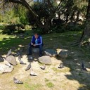 ���������� ������, ���� ������� �����, 42 ����, ������������ ��� ������, ����� � ���������, c�������� ���������, ���������