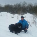 ���������� �����-���������, ���� ������� ��������, 51 ���, ������������ ��� ������, ����� � ���������