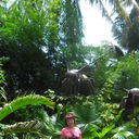  ,   , 56 ,   ,   , c 