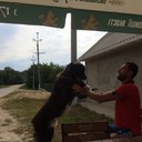 ���������� ������, ���� ������� �������, 35 ���, ������������ ��� ������, ����� � ���������, c�������� ���������