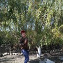  ,   , 62 ,     , c 