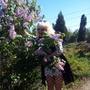  ,    , 50 ,  